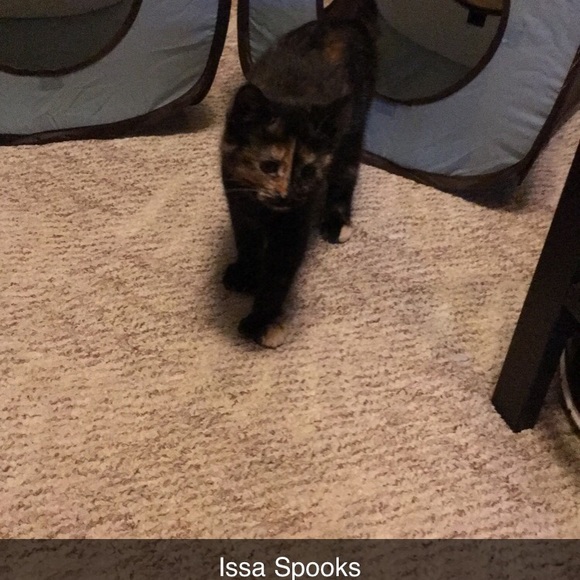 P L E A S E R E A D - Picture 3 of 10